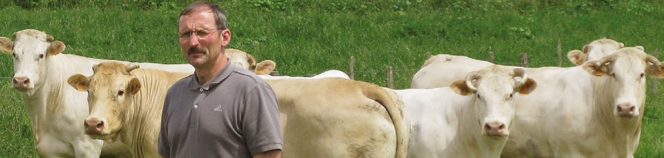 vendee_qualite_imageheader_boeuf_production