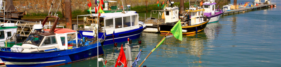 vendee_qualite_imageheader_historique_sardine