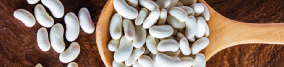 vendee_qualite_imageheader_mogette