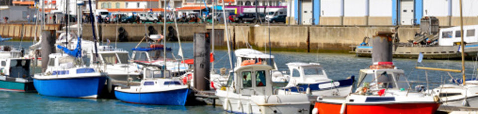 vendee_qualite_imageheader__production_sardine