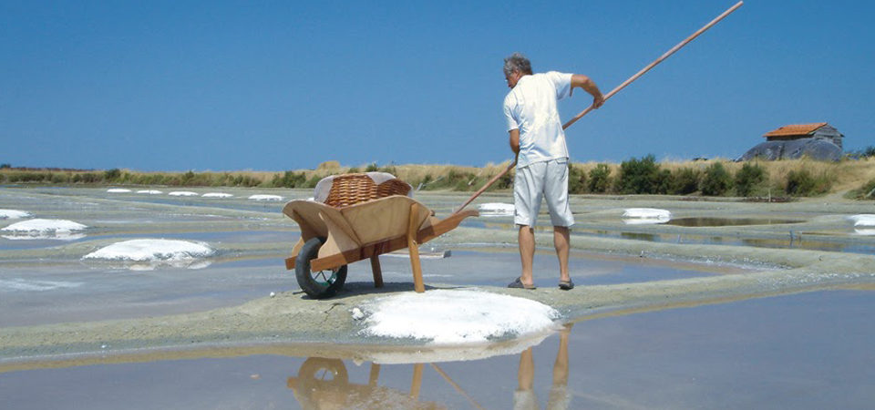 vendee_qualite_page_produit_noirmoutier_sel