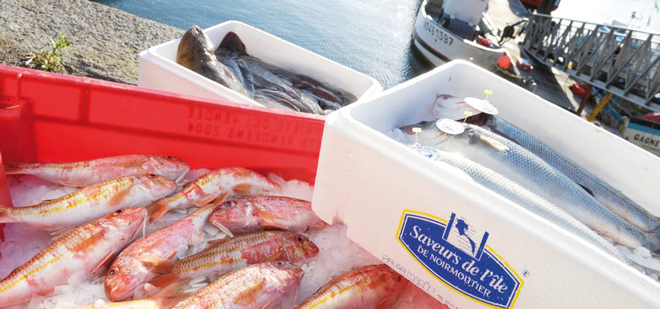 vendee_qualite_page_produit_noirmoutier_soupe